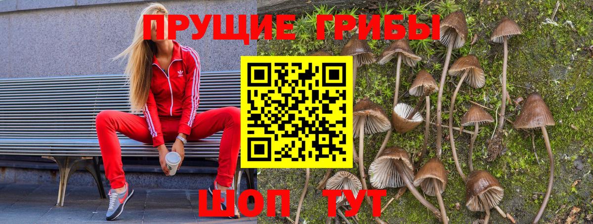Галлюциногенные грибы Magic Shrooms  Вход с VPN  Сатка  Псилоцибиновые грибы Magic Shrooms 