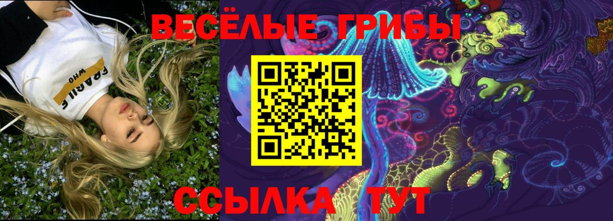Галлюциногенные грибы Psilocybe Сатка